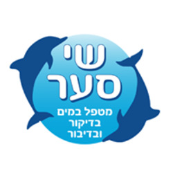 Shai Saar
